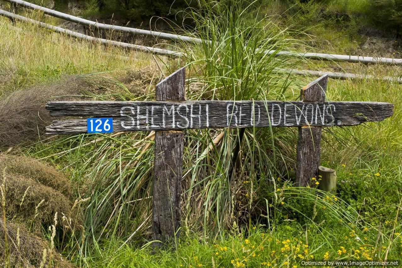 Villa Shemshi Gisborne Exterior photo